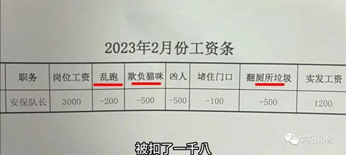 广东10岁土狗当安保队长月薪3000元,公司回应 其实是报销生活费,它会看门 抓老鼠 当模特